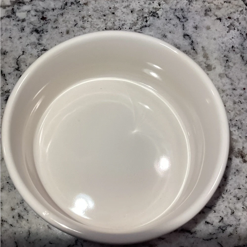 🌸Rae Dunn Dog Dish “Dine”